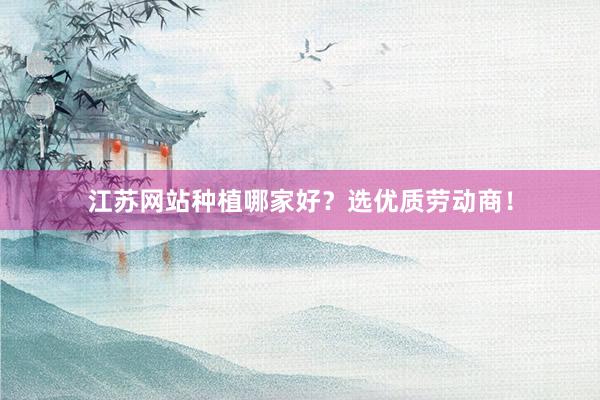 江苏网站种植哪家好？选优质劳动商！